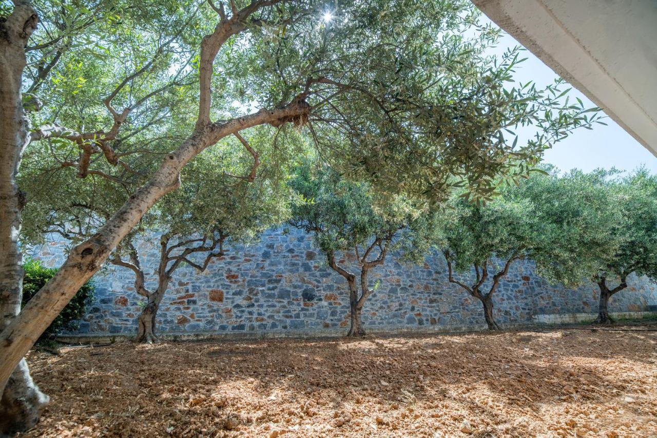 Semiramis Village Hotel Hersonissos  Ngoại thất bức ảnh